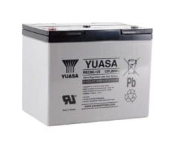 REC80-12 Yuasa VRLA Battery